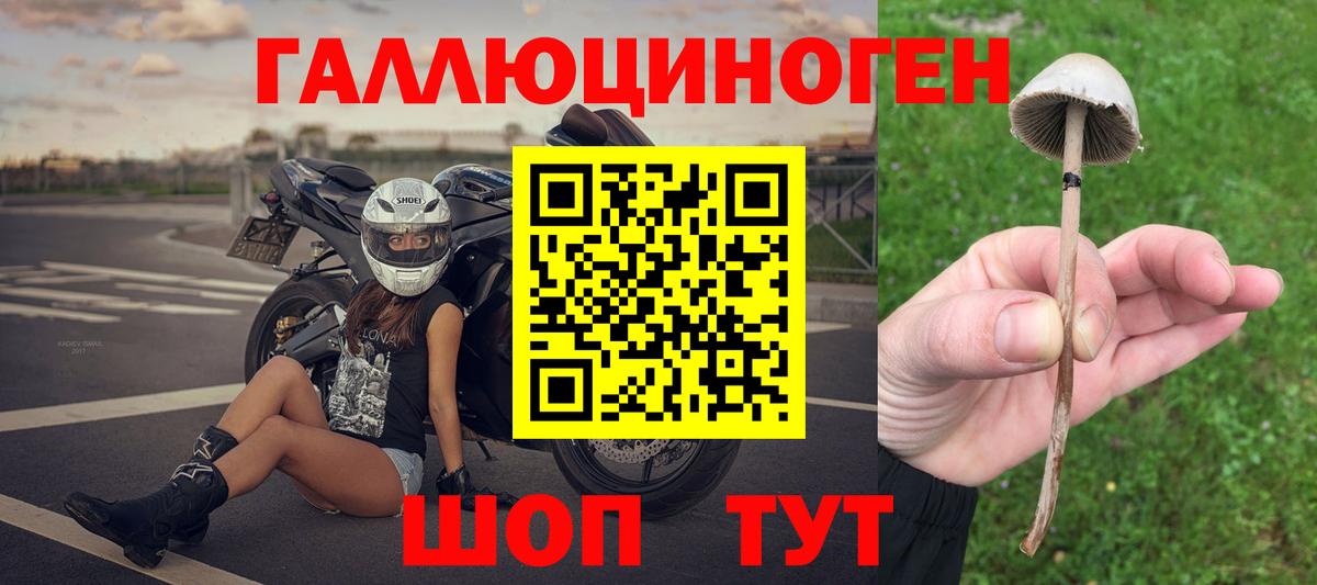 сколько стоит  Псилоцибиновые грибы ЛСД  Вход с VPN  Великие Луки  Псилоцибиновые грибы прущие грибы 