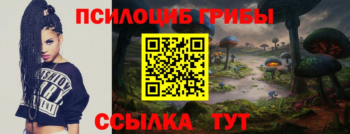 Галлюциногенные грибы мицелий Великие Луки